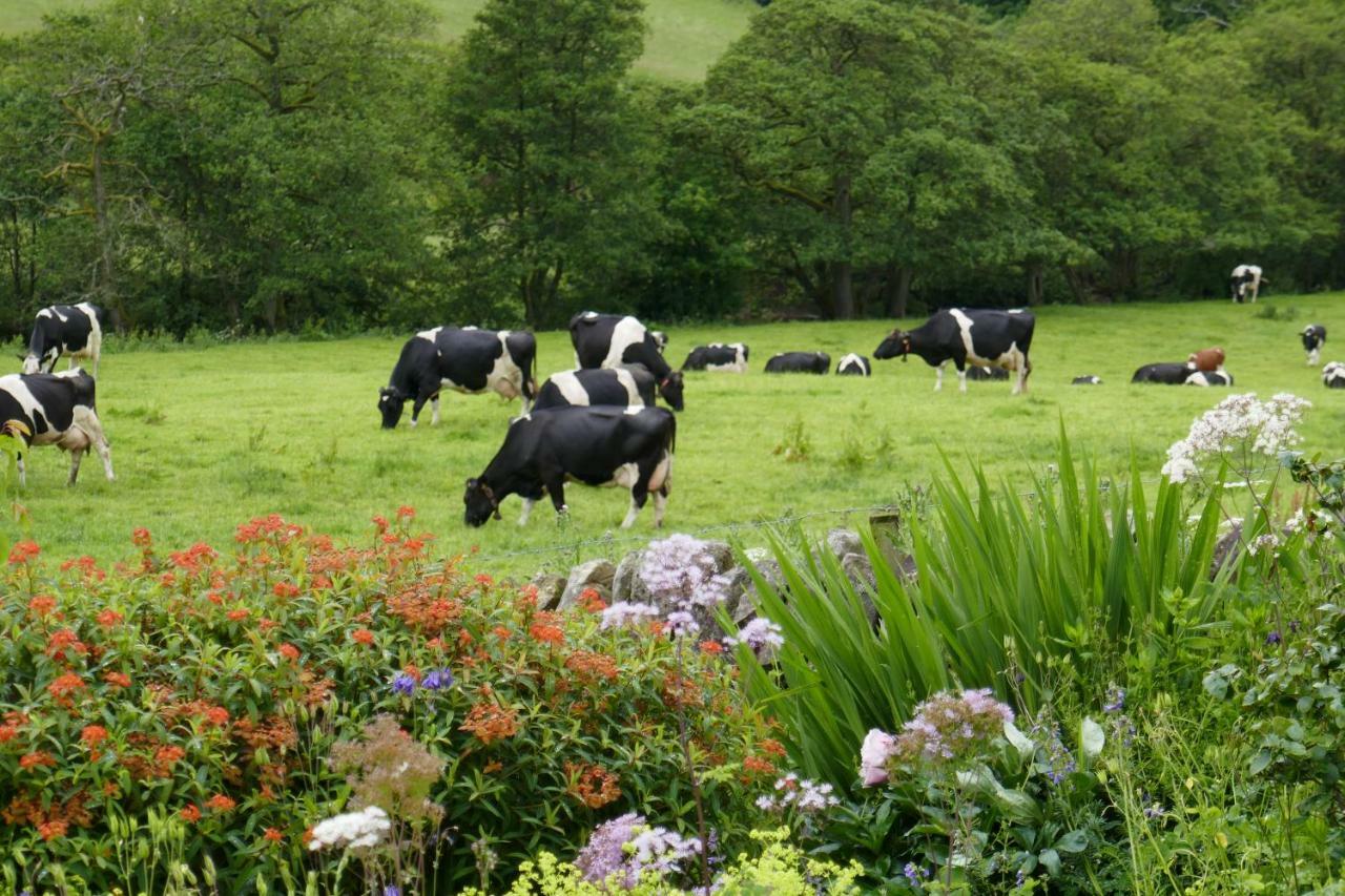 River View Knockraich Farm Fintry Bagian luar foto